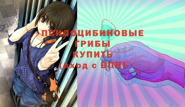 дмт Козловка