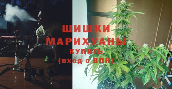 дмт Козловка