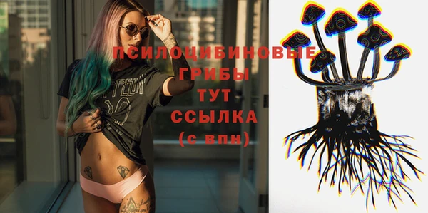а пвп мука Козельск