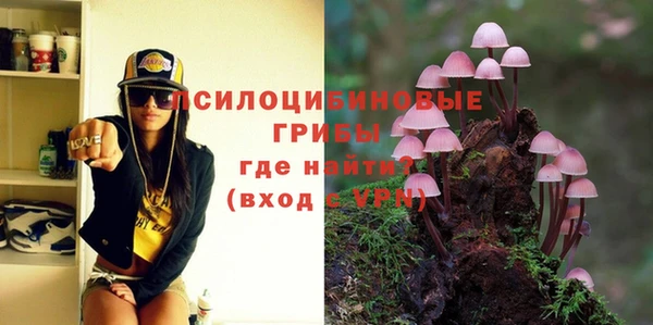 дмт Козловка
