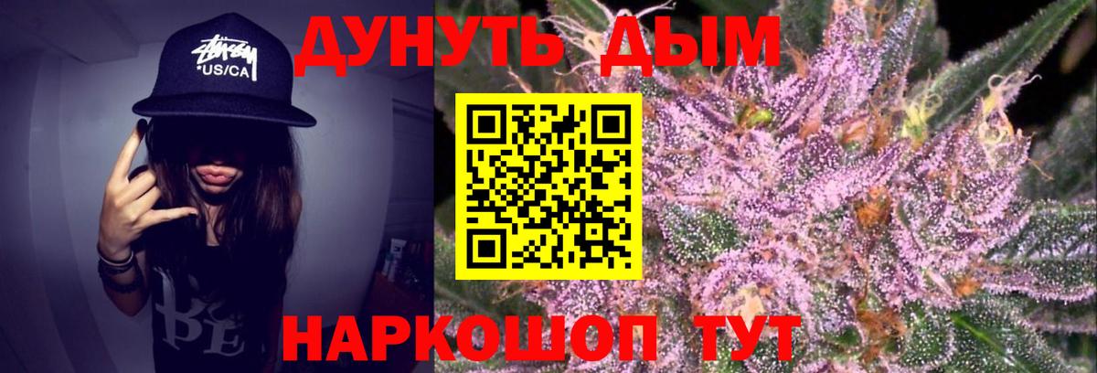 Бошки Шишки семена Новосибирск